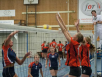 VVA; Frits De Wevertoernooi